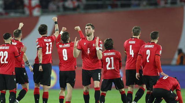 包含塞尔维亚队连败卢森堡队，遗憾落选欧洲杯正赛资格的词条